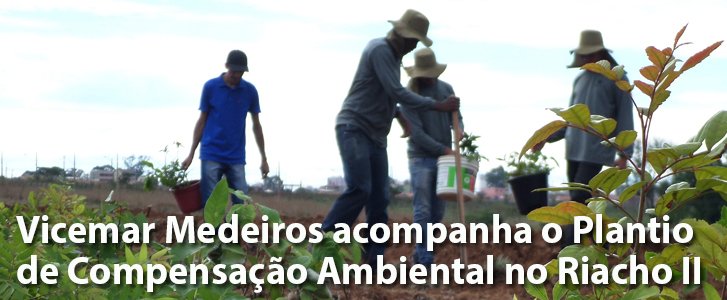 Vicemar Medeiros acompanha o Plantio de Compensação Ambiental no Riacho Fundo II