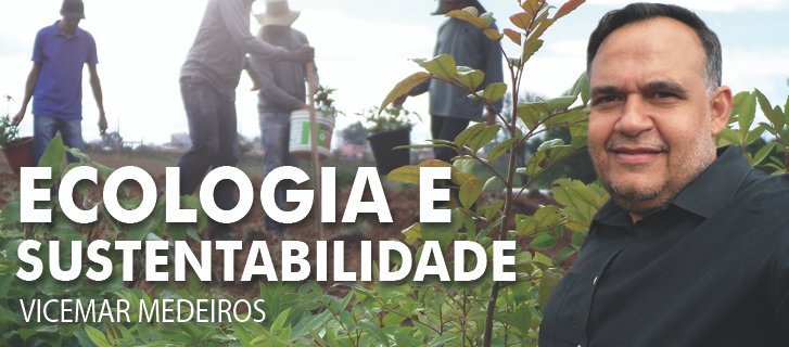 Ecologia e Sustentabilidade no Riacho Fundo II Vicemar Medeiros