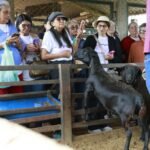 Agricultoras do DF aprendem novas tecnologias em visita à Fazenda Água Limpa